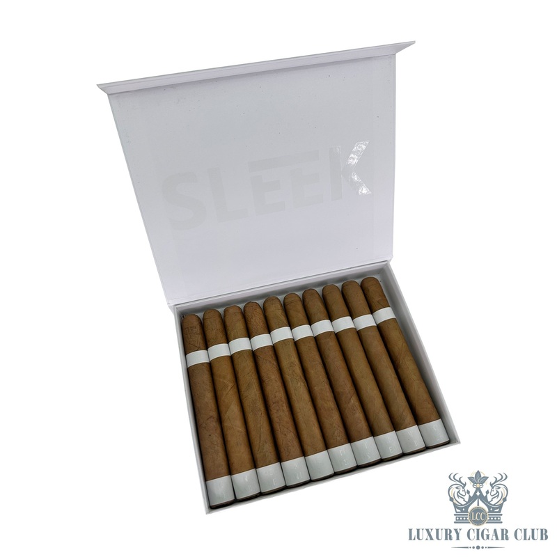 Vicente Blends Sleek White 5 pack churchill (6×48)