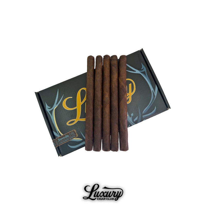 1502 GPC Cachitos 5 pack petite robusto (4×50)
