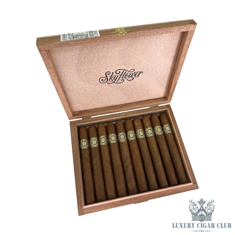 Warped Flor Del Valle Sky Flower Limited Edition 5 pack toro (6×52)