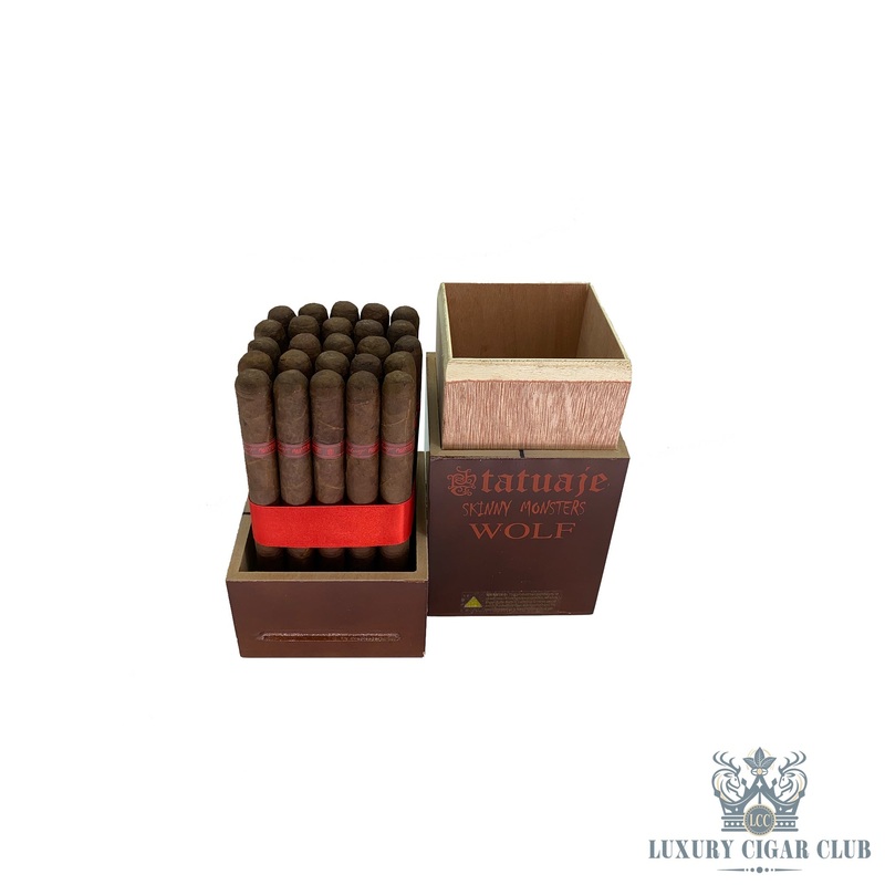 Tatuaje Skinny Monsters Wolf 5 pack petite lancero (6×38)