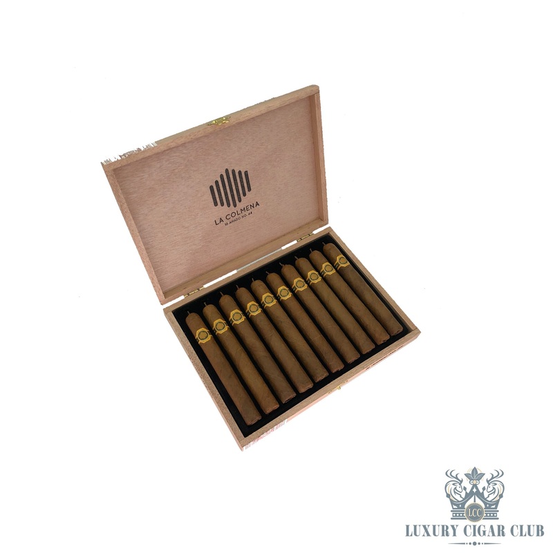 Warped La Colmena 5 pack no. 44 (5.5×44)