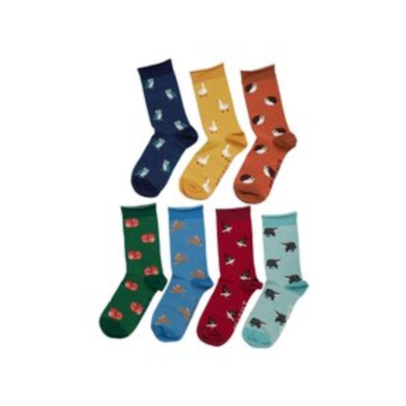 Seasalt Cornwall PACK OF 7 – Socken – multi deer trail mix/mehrfarbig