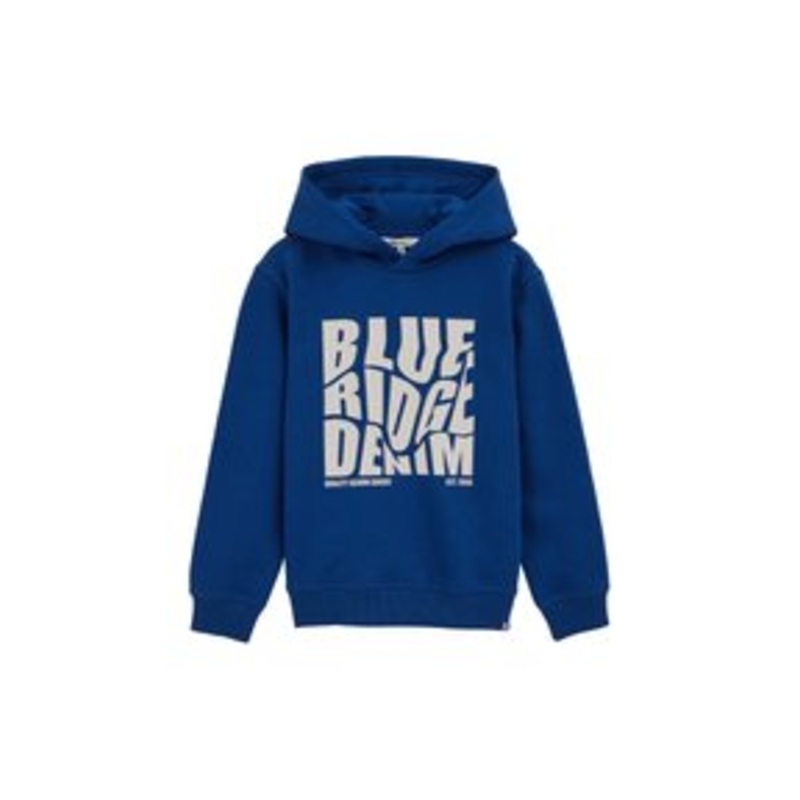 WE Fashion BLUE RIDGE – Kapuzenpullover – blue/blau