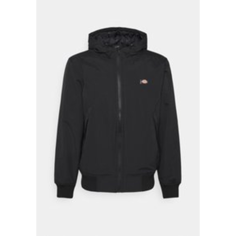 Dickies NEW SARPY JACKET – bergangsjacke – black/schwarz