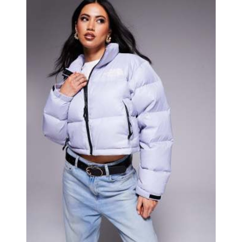 The North Face Nuptse Cropped Jacket in gray blue