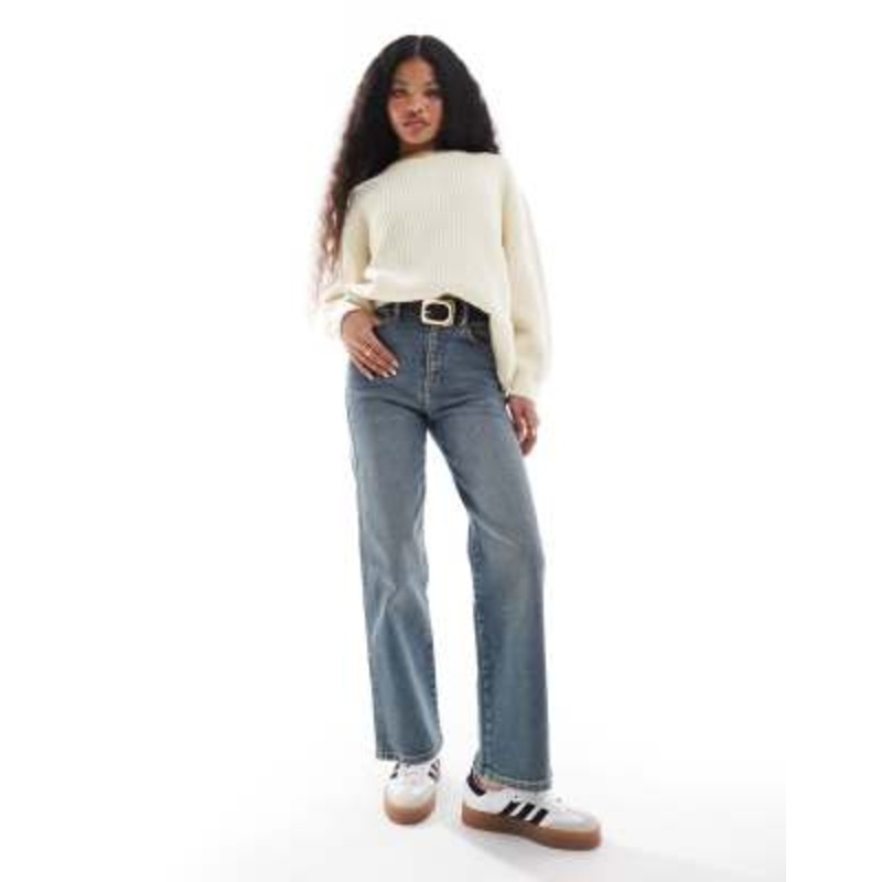 Dr Denim Petite Moxy straight leg jeans in cape mid dirt used