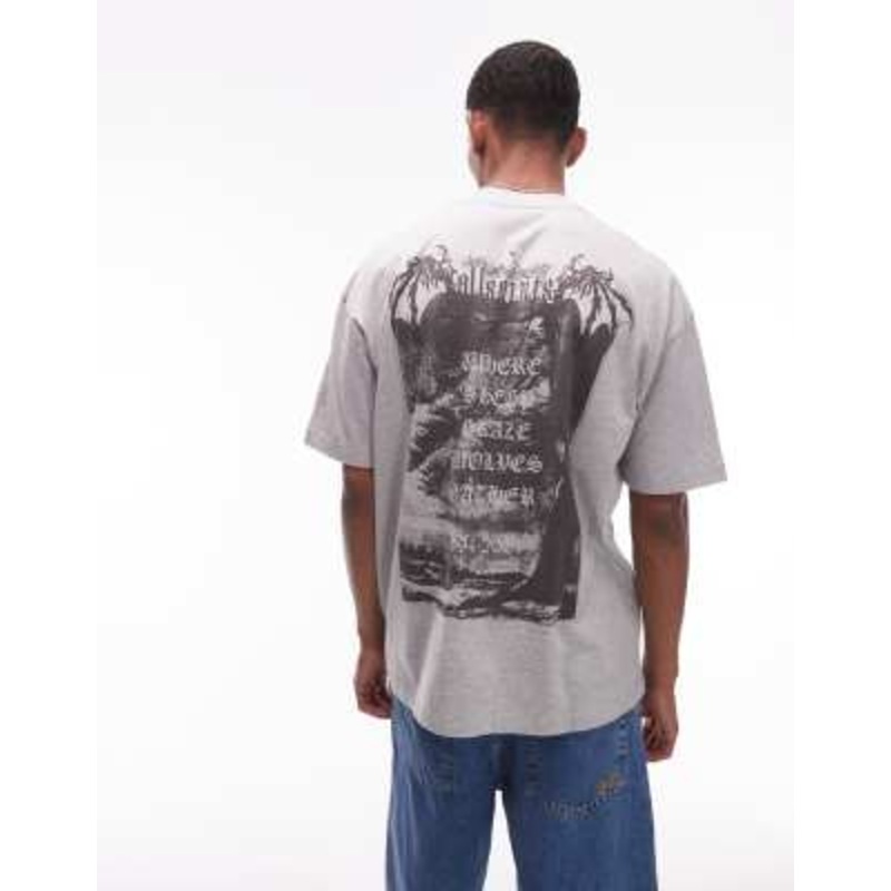 AllSaints angelic short sleeve T-shirt in gray