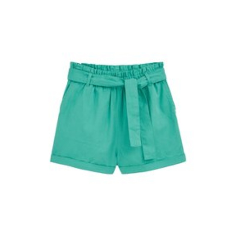 WE Fashion Shorts – green blue/grn