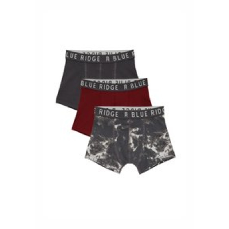 WE Fashion BLUE RIDGE – Panties – burgundy red/bordeaux