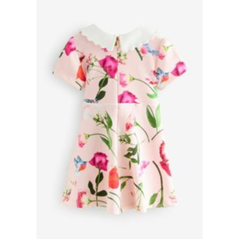 Baker by Ted Baker REGULAR FIT – COLLARED PONTE – Freizeitkleid – multi/pink