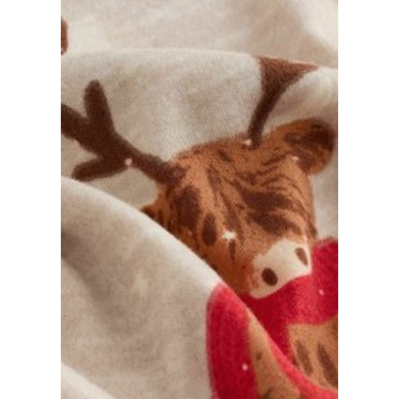 Next SINGLE FAMILY CHRISTMAS SET – Nachtwsche Set – neutral/red hamish/grau