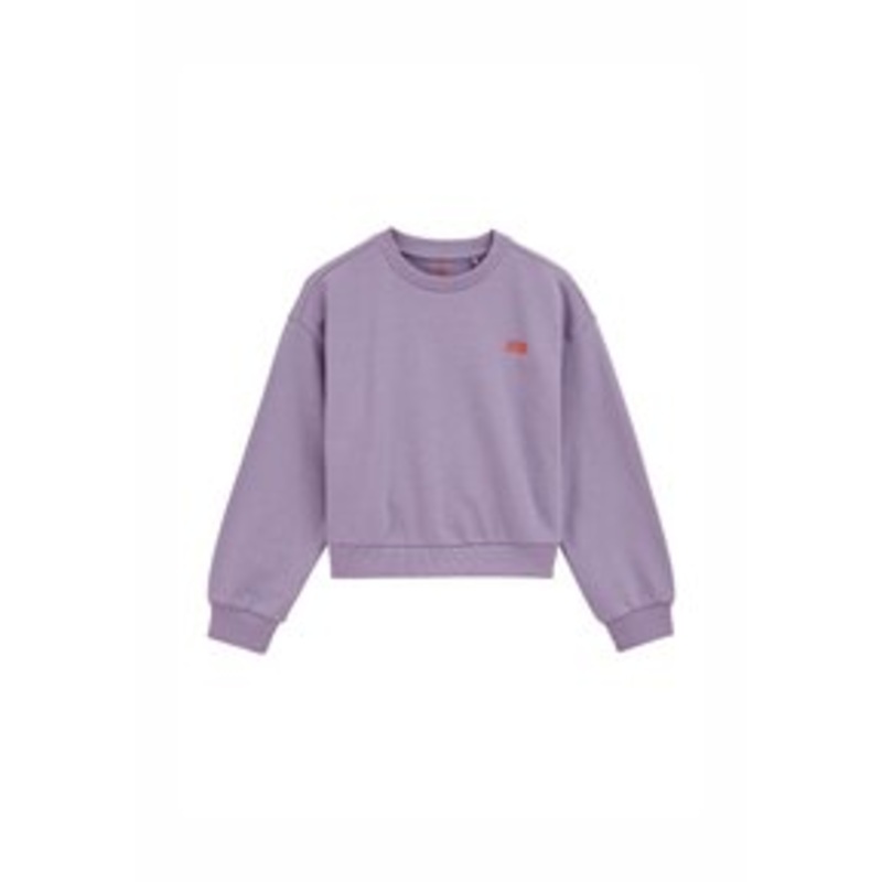 WE Fashion Sweatshirt – lilac/flieder