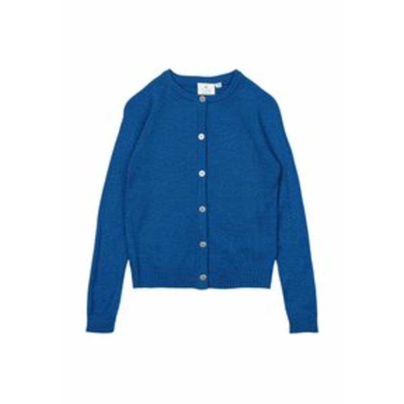 The New EVE GLITTER  – Strickjacke – daphne/blau