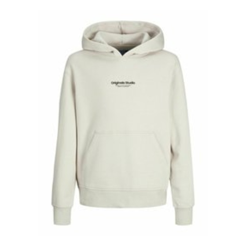 Jack & Jones Junior GEDRUCKT – Kapuzenpullover – moonbeam/offwhite
