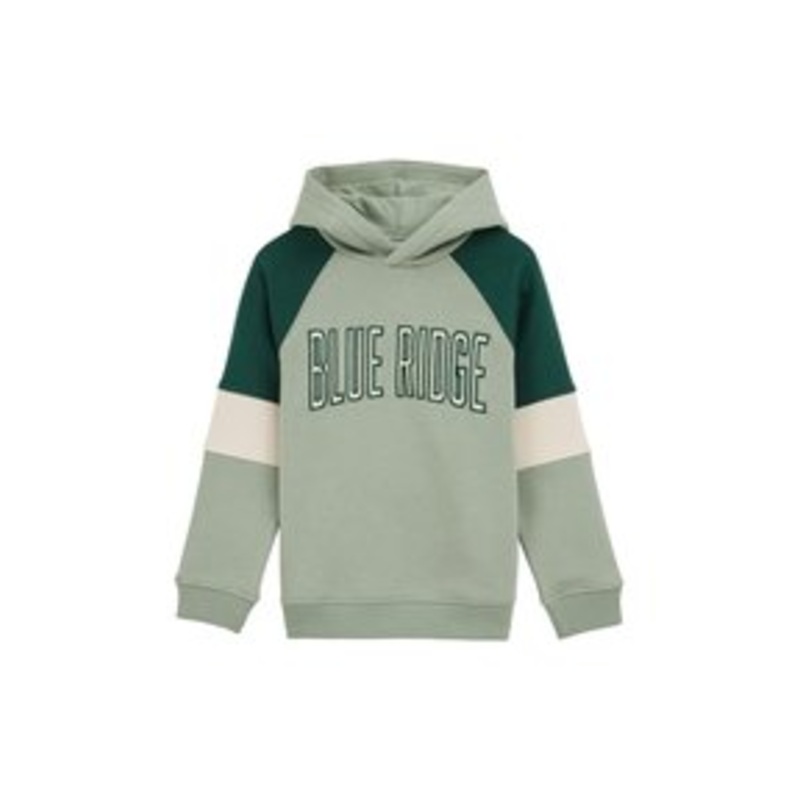 WE Fashion BLUE RIDGE – Kapuzenpullover – light green/hellgrn