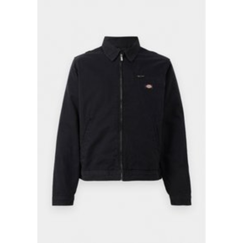 Dickies PAINTER JACKET – Leichte Jacke – black/schwarz