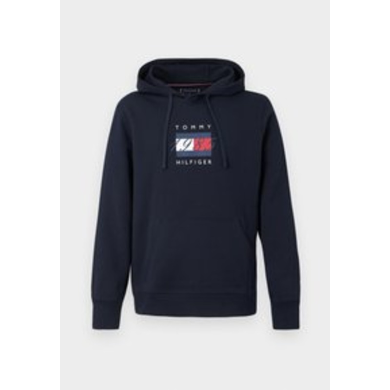 Tommy Hilfiger LINEAR FLAG GRAPHIC HOODIE UNISEX – Sweatshirt – desert sky/dunkelblau