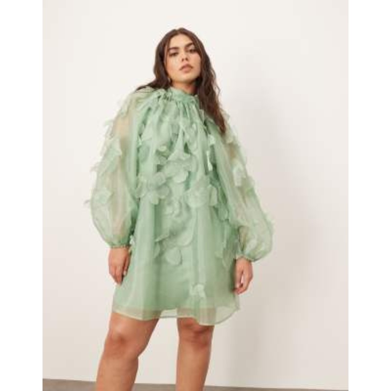 ARRANGE Curve applique organza floral high neck trapeze mini dress in light green