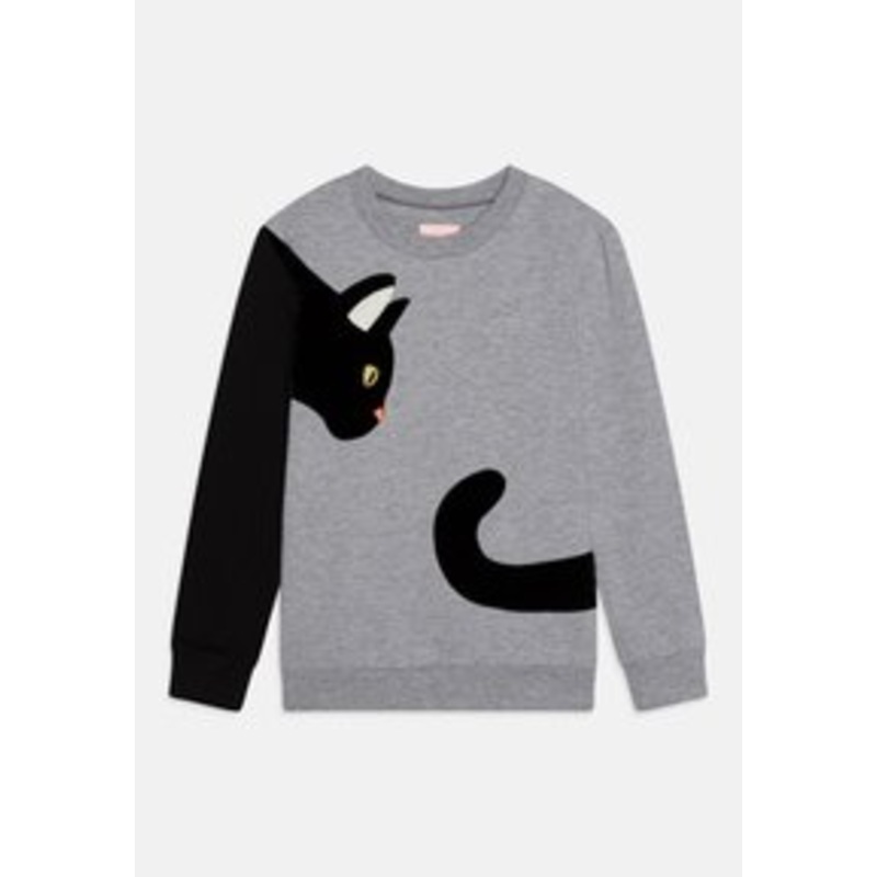 WAUW CAPOW STREETWISE  – Sweatshirt – grey/mint