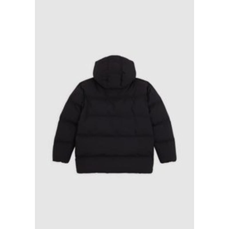 Dickies EAGLEVILLE HOODED PUFFER – Winterjacke – black/schwarz