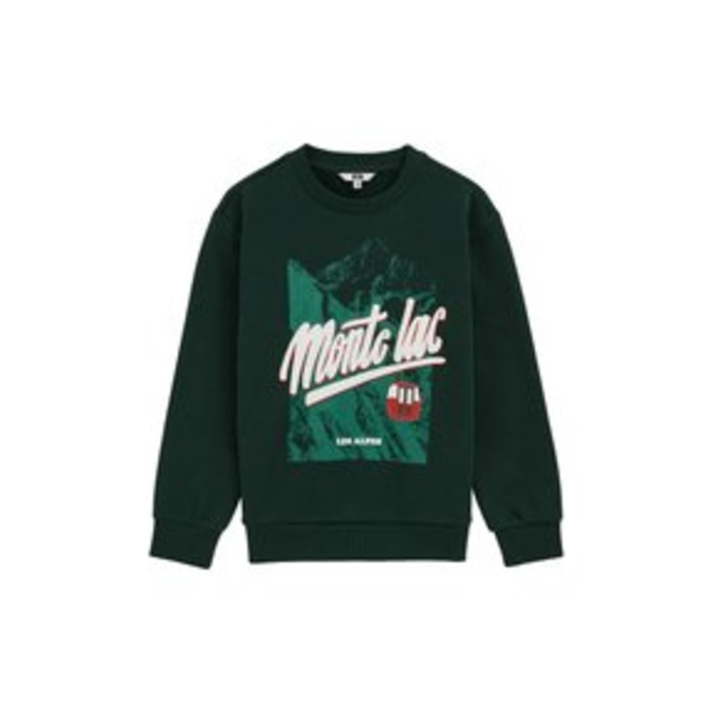 WE Fashion Sweatshirt – dark green/dunkelgrn