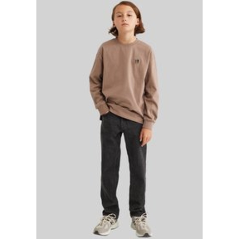 WE Fashion BLUE RIDGE – Langarmshirt – light brown/hellbraun