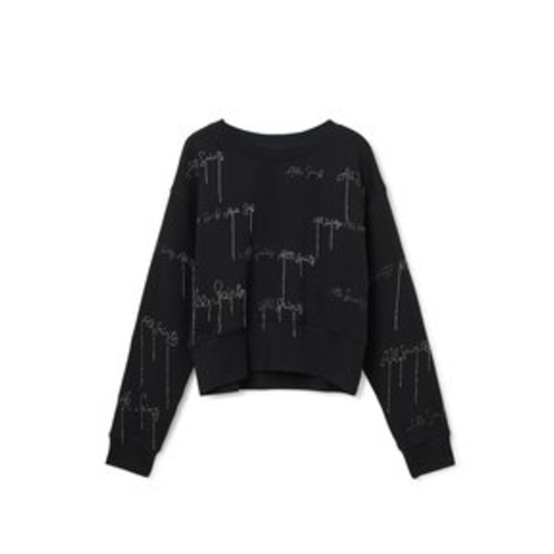 AllSaints AS EMB SEPARO – Sweatshirt – black/schwarz