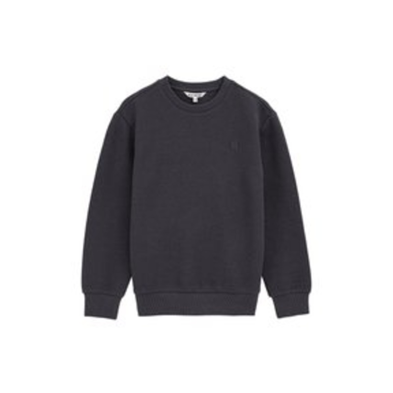 WE Fashion BLUE RIDGE – Sweatshirt – grey/grau