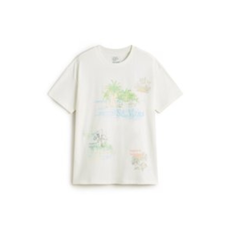 Vans T-Shirt print – marshmallow/offwhite