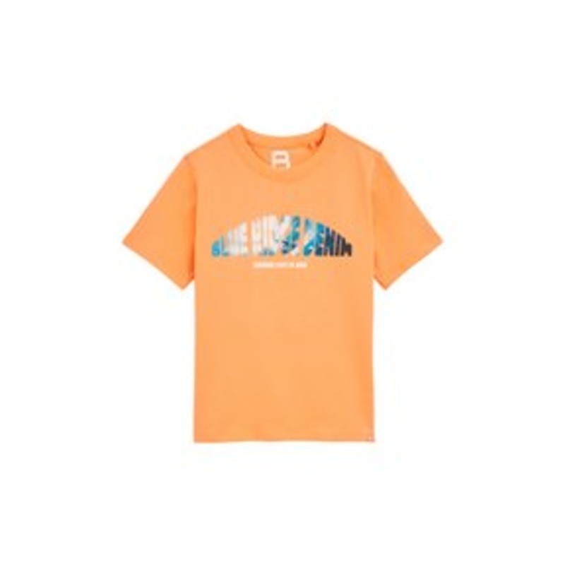 WE Fashion BLUE RIDGE – T-Shirt print – bright orange/orange