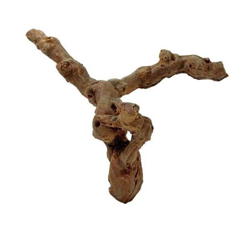 Dry Tree Branch | Artificial Filler | Silk by Design