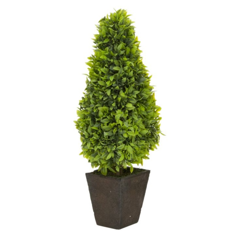 LAUREL TREE W/ POT – SMALL, 19″