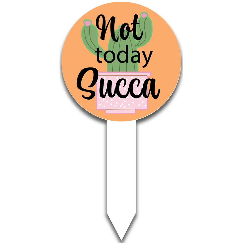 Plant Pop-Not Today Succa