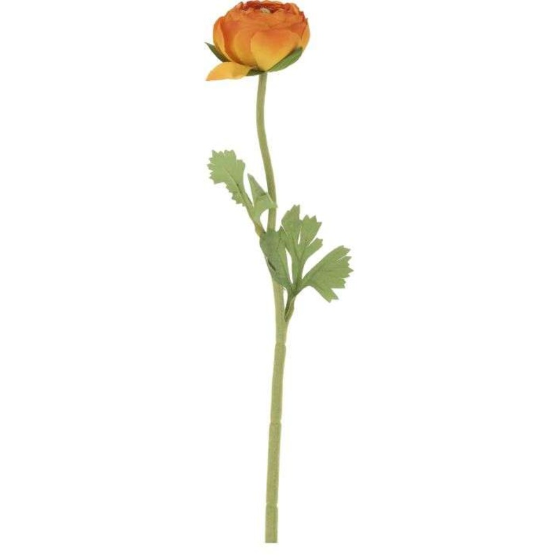 Ranunculus-19.5 Inches, Set of 12