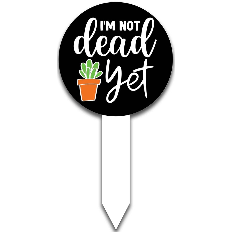 Plant Pops-I’m not Dead