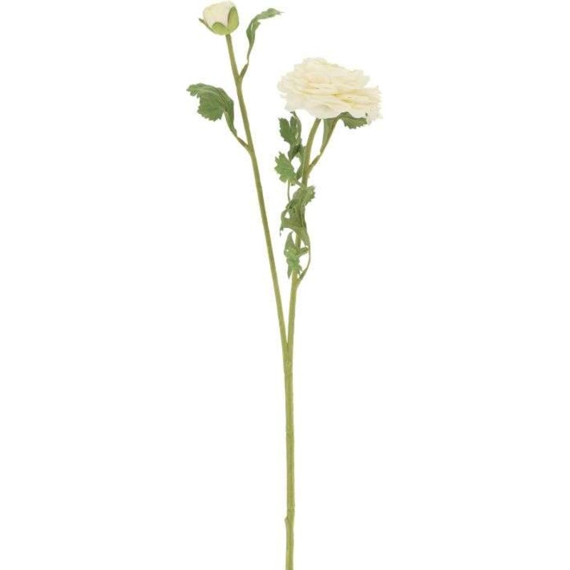 Ranunculus-23 Inches, Set of 12