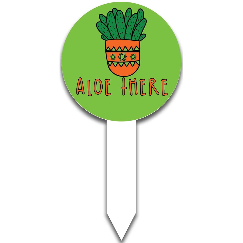 Plant Pop-Aloe There