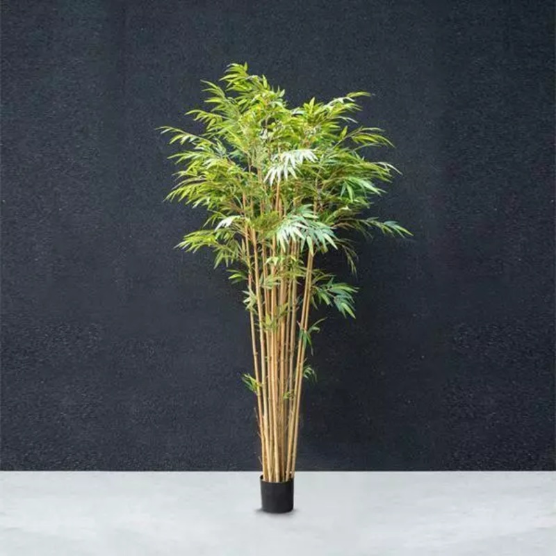 Bamboo Tree – 2.2M