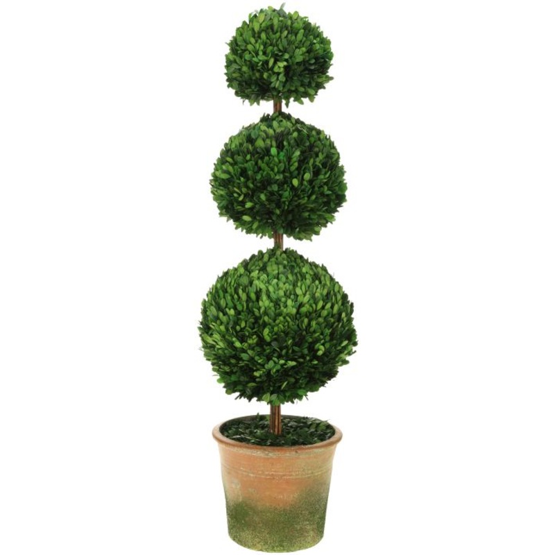 TRIPLE BALL BOXWOOD TOPIARY 42″