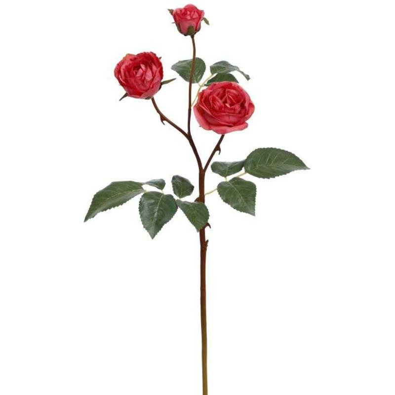 Roses Stem – 19.5 Inches, Set of 12
