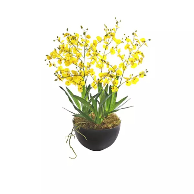 Yellow Dancing Ladies Orchid Arrangement | Silk by Design