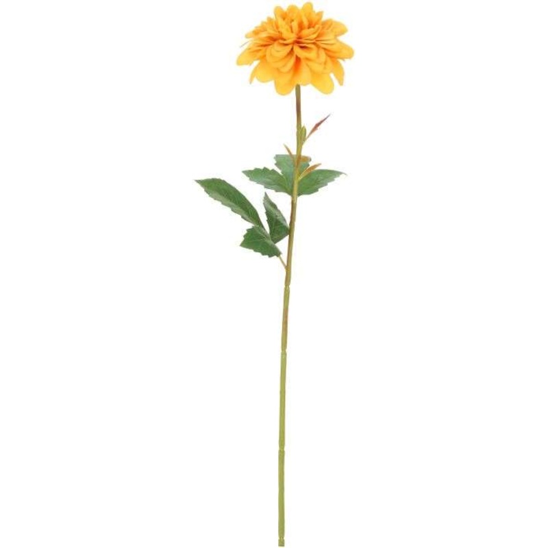 Dahlia-18 Inches, Set of 12