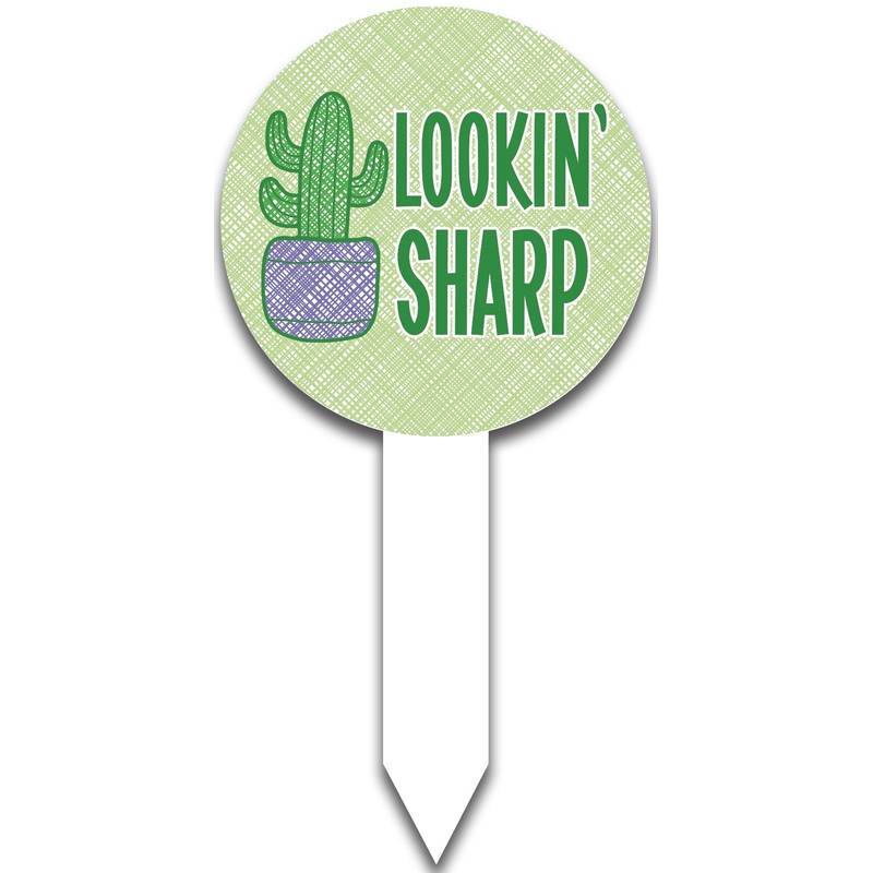 Plant Pop-Lookin’Sharp