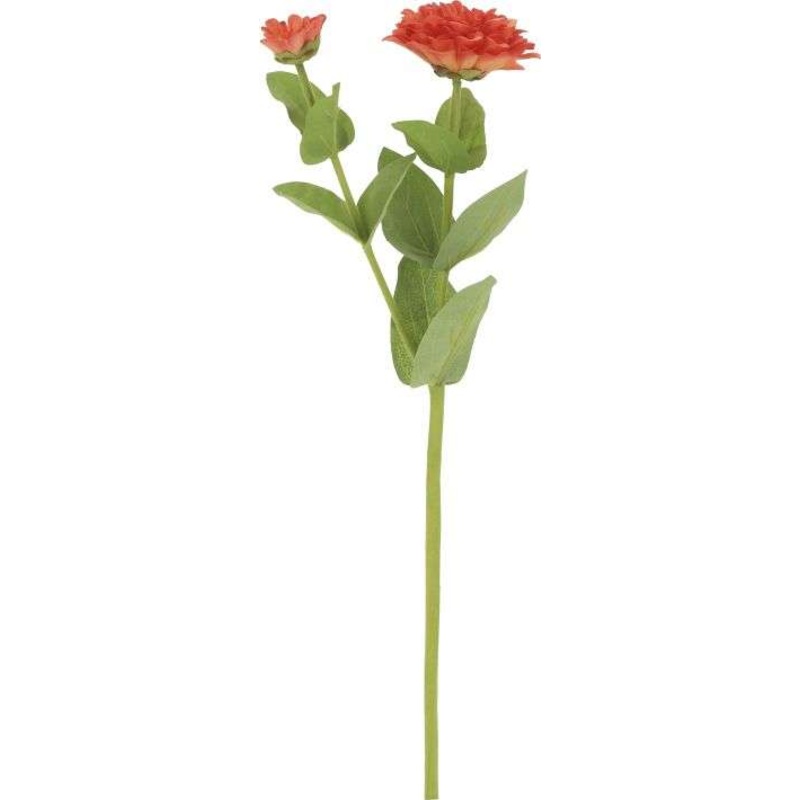Zinnia-19.5 Inches, Set of 12