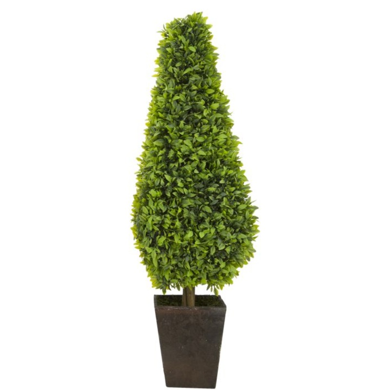 LAUREL TREE W/ POT – LARGE, 23″