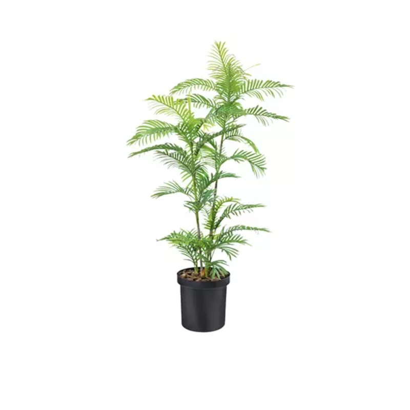 Areca Palm Potted Tree