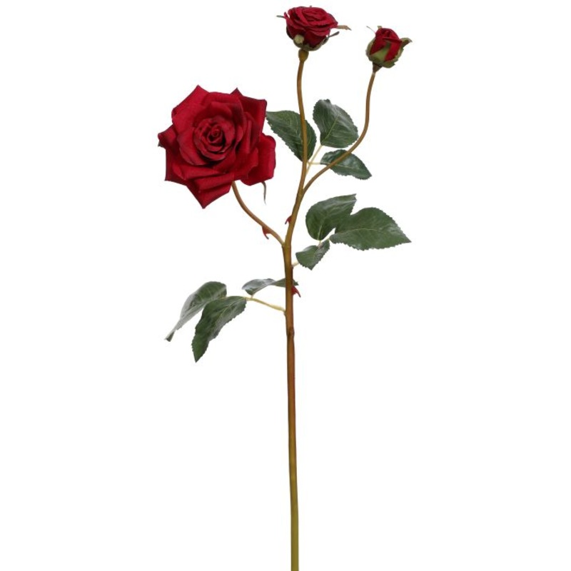 Bundle of 12 Red Garden Roses with 3 Blooms 19.5″ – FREE SHIPPING