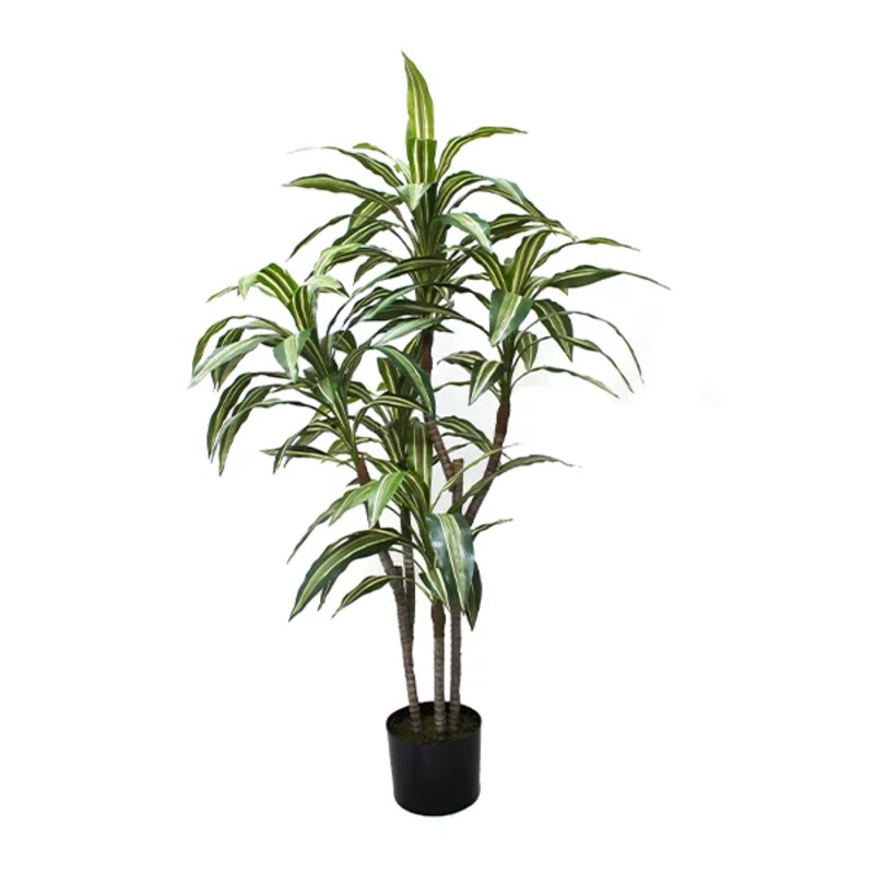 Cordyline Variegated Plant Potted 120cm | Silk by Design
