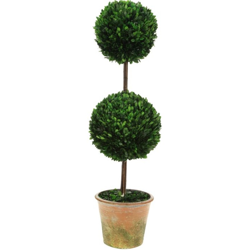 TALL DOUBLE BOXWOOD TOPIARY 42″