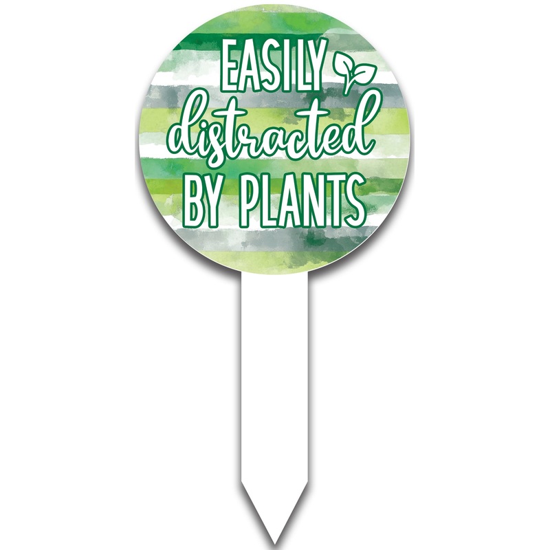 Plant Pop-Easily Distracted